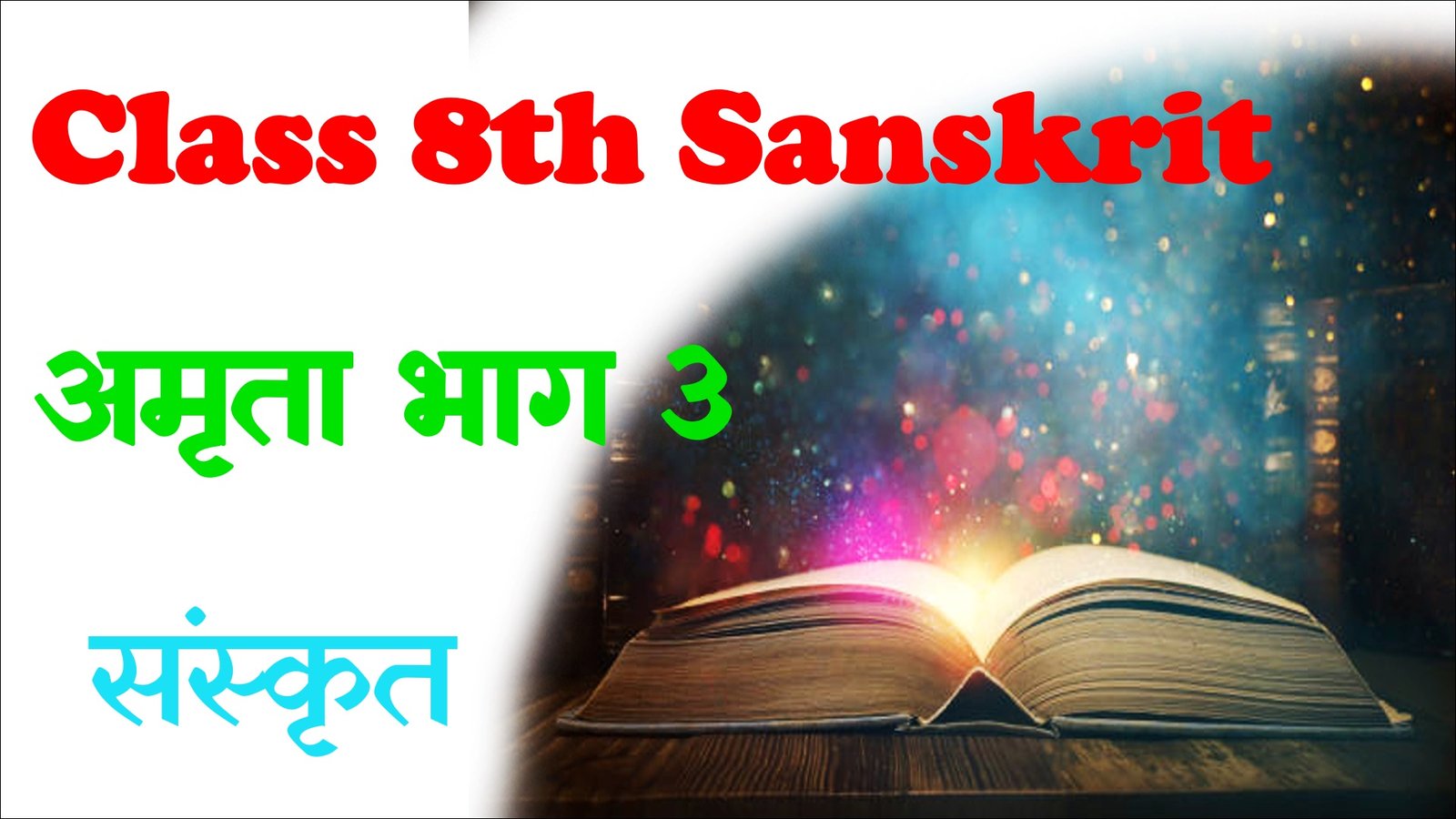 Bihar Board Class 8 Sanskrit Objective Questions